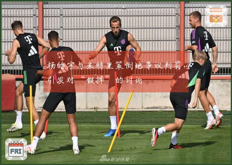 杨皓宇与米特里策倒地争议判罚，引发对“假摔”的讨论