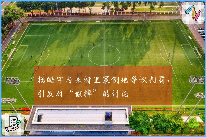 杨皓宇与米特里策倒地争议判罚，引发对“假摔”的讨论