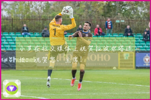 小罗在社交媒体上祝贺拉波尔塔连任：祝贺您，主席！